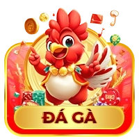 Đá gà mm99